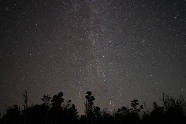 istock Astrophotography in Northern California 1818987083