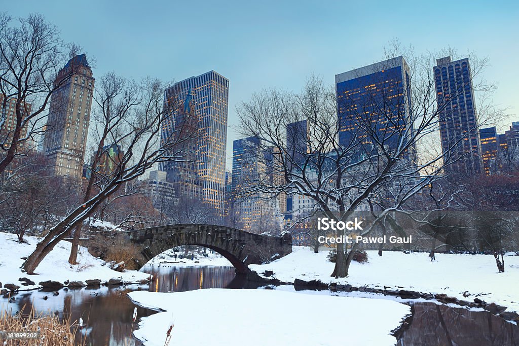 Inverno a Central Park di New York - Foto stock royalty-free di Central Park - Manhattan