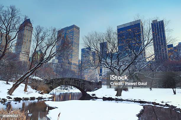 Inverno A Central Park Di New York - Fotografie stock e altre immagini di Central Park - Manhattan - Central Park - Manhattan, Gapstow Bridge, Ambientazione esterna