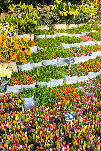 istock Flower Market, Amsterdam, Netherlands 181899318