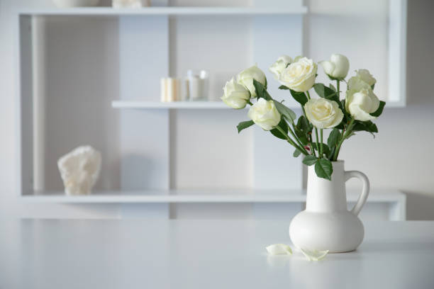 istock white roses in white jug in white interior 1818998016