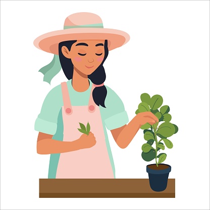 young woman takes care of the flowers planted in different shaped pots. Hobby is taking care of indoor plants. The girl takes care of the home garden. Vector illustration.