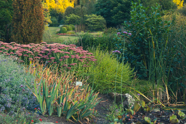istock Verdant Retreat in belgium 1819002306