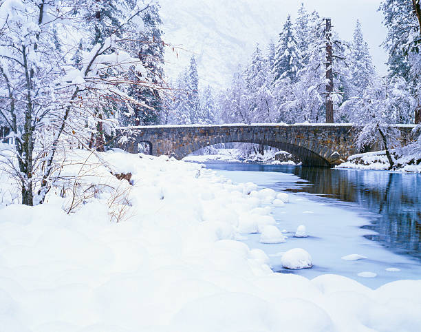 istock Winter in Yosemite N.P. 181900331