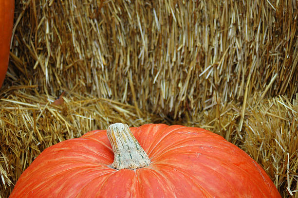 Pumpkins and Straw stock photo