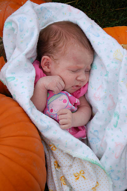 Pumpkin Patch Kid stock photo