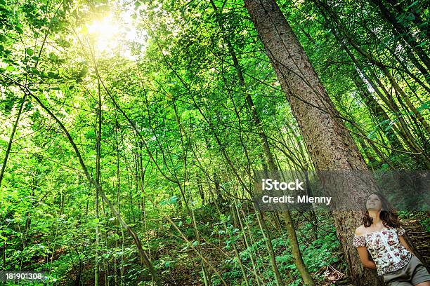 Photo libre de droit de Fille Dans La Forêt banque d'images et plus d'images libres de droit de Adulte - Adulte, Arbre, Arbre à feuilles caduques