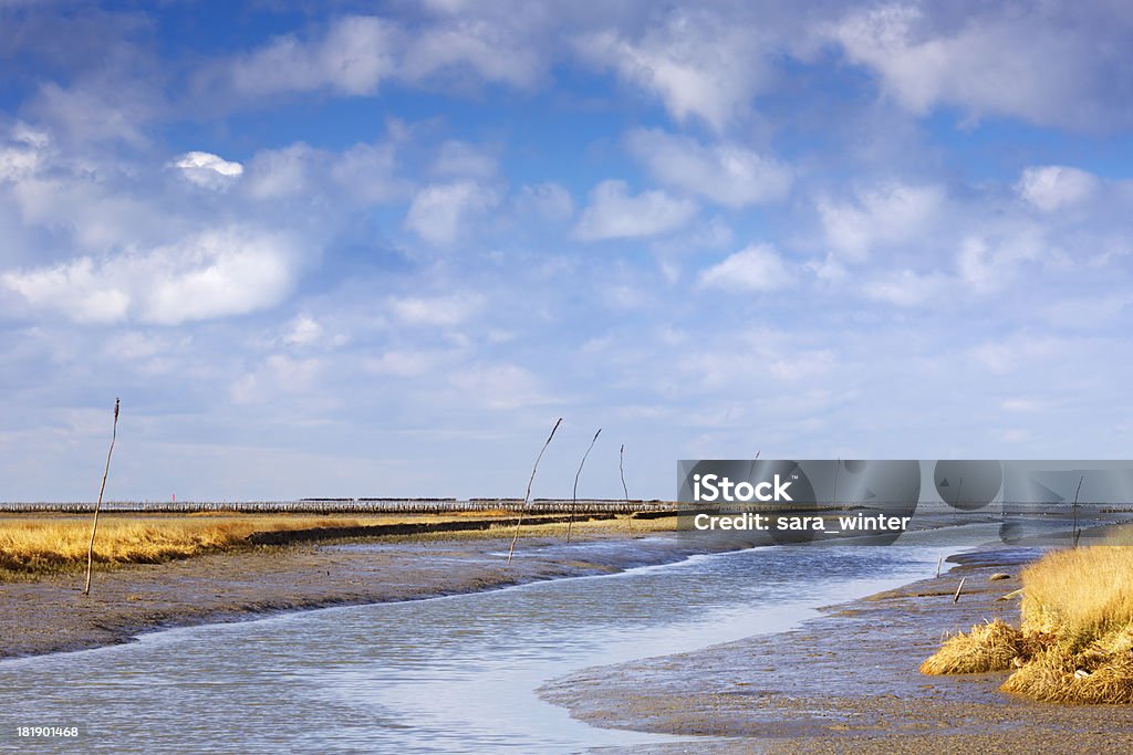 Ваттовое море побережье, Groningen, Нидерланды в солнечный день - Стоковые фото Без людей роялти-фри