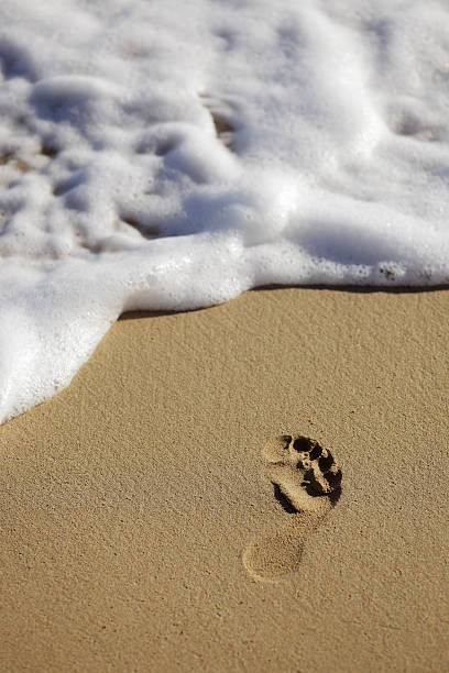 istock Footprint in the sand with calm waves 181902013