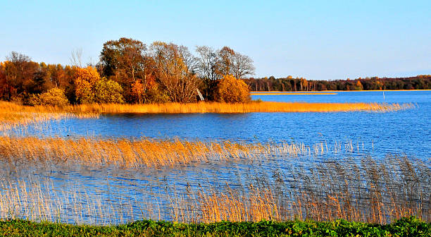 istock Fall season along Russia waterway 181902349