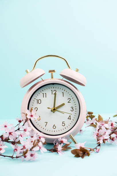 istock Alarm clock with cherry blossoms, switch to daylight saving time in spring, summer time changeover 1819032686