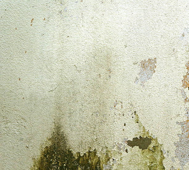 istock rough green textured grunge background 181903658