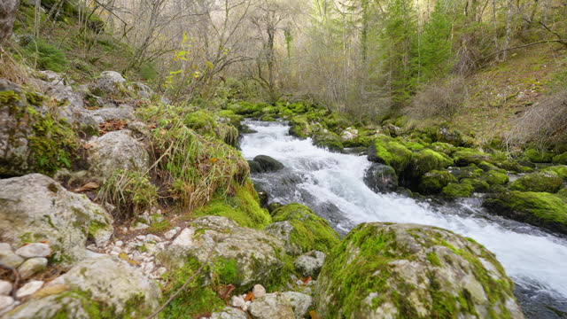 SLO MO Scenic View of Amazing River Flowing Along Moss Covered Rocks in Forest