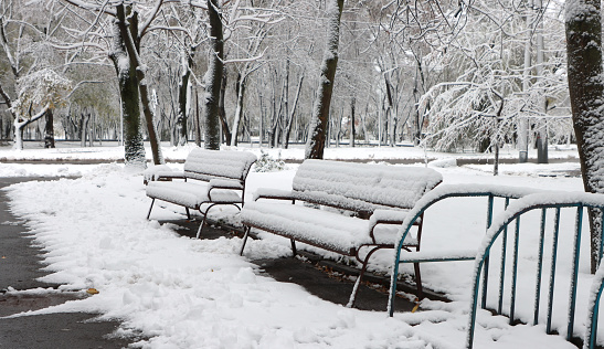 Unexpectedly fallen snow on autumn trees. Benches in the snow against the backdrop of parks and snowy trees
