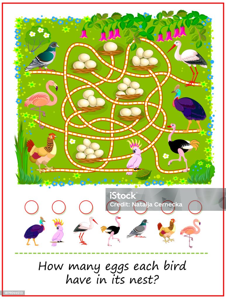 Birdlife Cool Math Math Education For Children How Many Eggs Each Bird Have In Its Nest ...