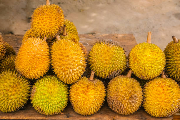 round ripe yellow durian fruits folded in pile round ripe yellow durian fruits folded in pile on wooden counter for sale. Traditional fruit of Sri Lanka pics of a spiky fruit stock pictures, royalty-free photos & images