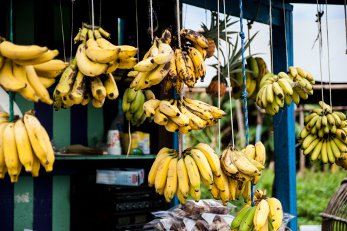 Roadside fruit stand on the Big Island of Hawaii