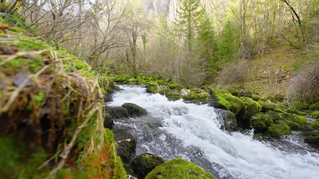 SLO MO Spring Water Flowing Along Rocks Covered With Moss in Forest