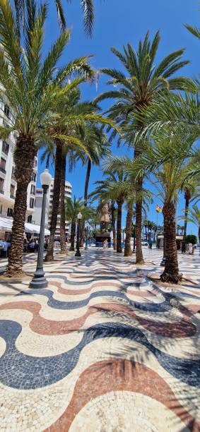 soleado paseo marítimo con palmeras en la ciudad de alicante, españa - con trail imagens e fotografias de stock