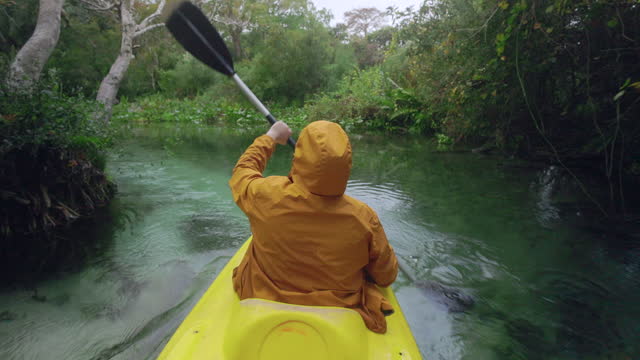 Kayaking Through a Lush Florida Spring  River Bend - Florida Freshwater River Springs