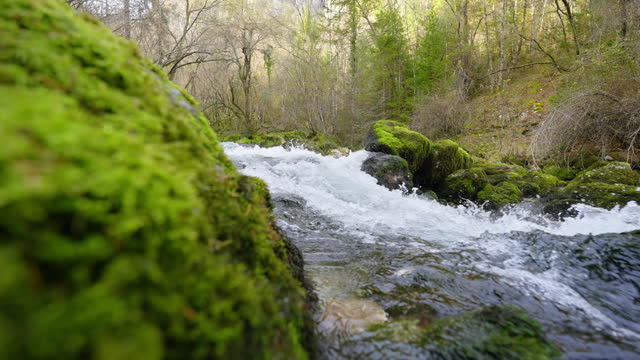 SLO MO Flowing Water of Stream Along Moss Covered Rocks in Forest