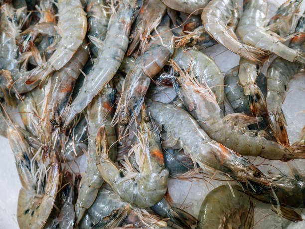 istock Frozen shrimp top view. Healthy seafood background on market 1819082172