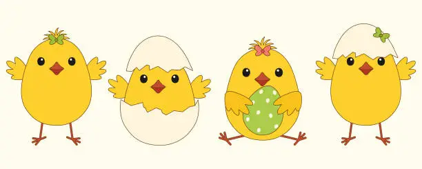 Vector illustration of A vector set of cartoon Easter chicks on a white background. Vector illustration