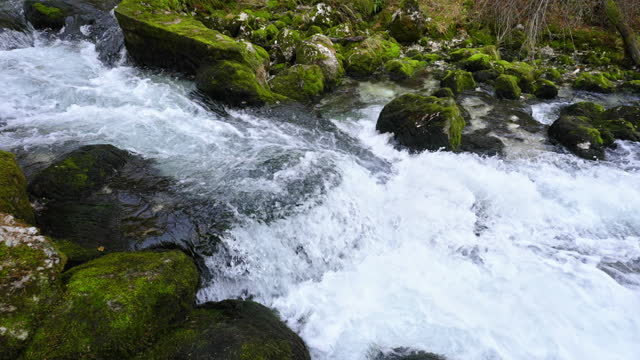 SLO MO Spring Water Flowing Along Rocks Covered With Moss in Forest, Slovenia
