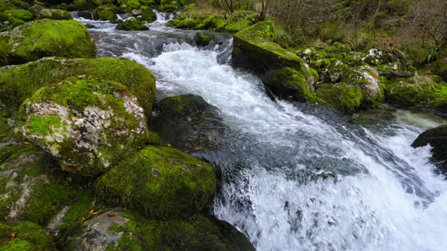 SLO MO River Flowing Through Green Moss Covered Rocks in Forest, Slovenia