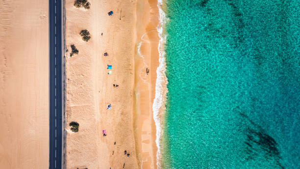 vista aerea della spiaggia con strada asfaltata nel parco corralejo, fuerteventura. spiaggia (grandes playas de corralejo) e strada a fuerteventura, isole canarie, spagna. bella acqua turchese e sabbia bianca. - yellow landscapes nature park foto e immagini stock