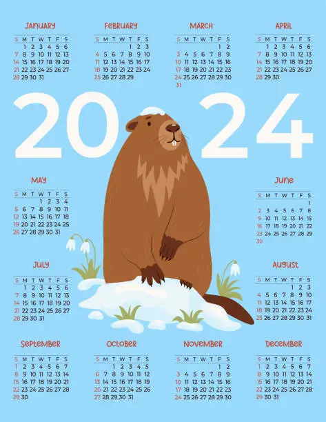 Vector illustration of 2024 annual calendar. Cute animal groundhog in snow with snowdrops. Vector illustration. Vertical template 12 months in English. Week starts Sunday. Holiday calendar Groundhog Day.
