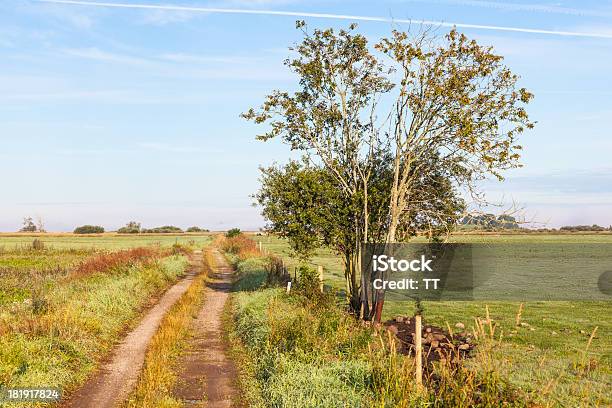 Photo libre de droit de Chemin De Terre banque d'images et plus d'images libres de droit de Accotement herbeux - Accotement herbeux, Agriculture, Arbre