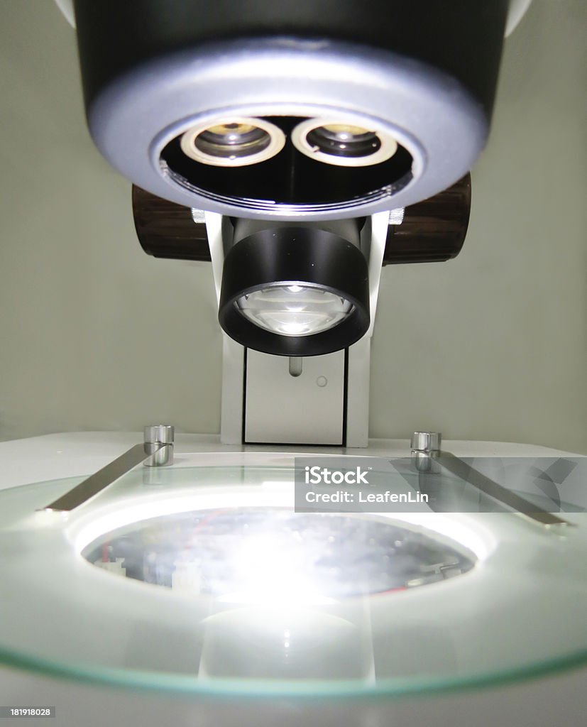 이 단계에서 stereoscope, 스테레오 copic 관찰일 미생물 - 로열티 프리 건강관리와 의술 스톡 사진