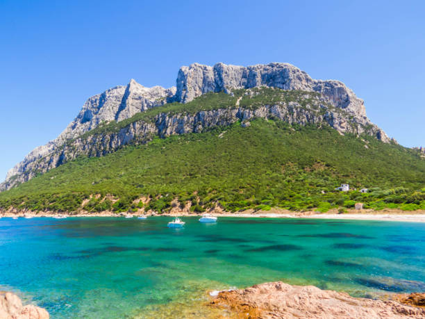 istock Tavolara Island, Sardinia 1819197630