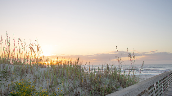 Girl Exploring the Outer Banks