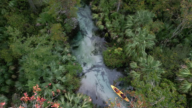 Couple Kayaking Florida Springs - High Angle Drone - Florida Freshwater River Springs