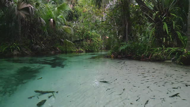Florida Springs - POV Kayak - Florida Freshwater River Springs