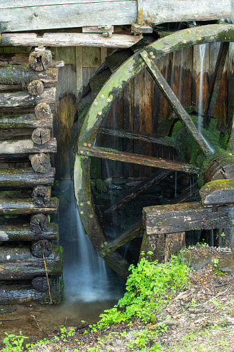 A water wheel in a forest