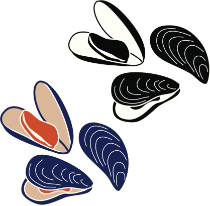 A vector illustration of mussels in color and in black and white.