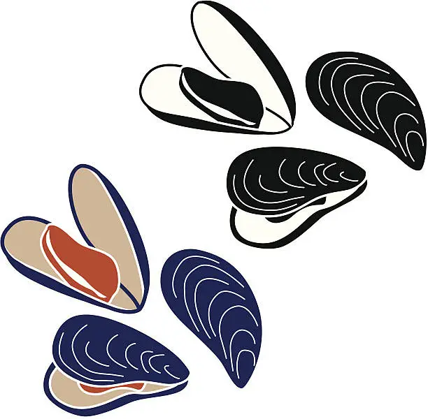 Vector illustration of mussels