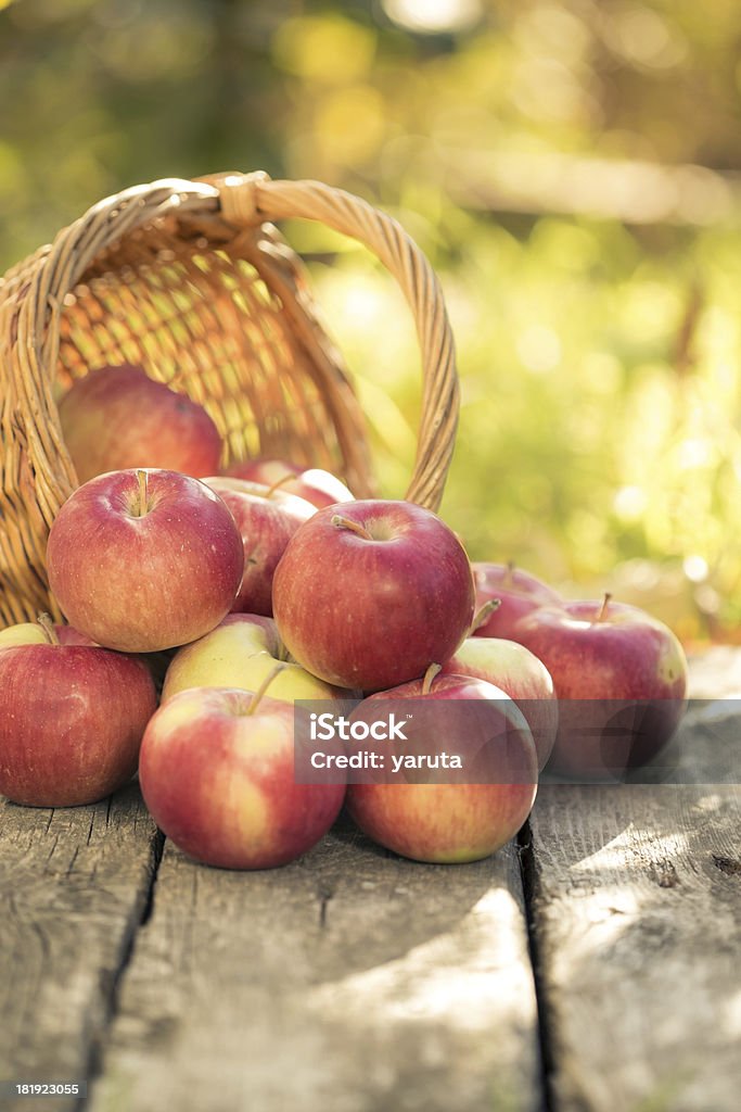 Red apples on wooden table Red apples on wooden table in autumn outdoors. Thanksgiving holiday concept Apple - Fruit Stock Photo