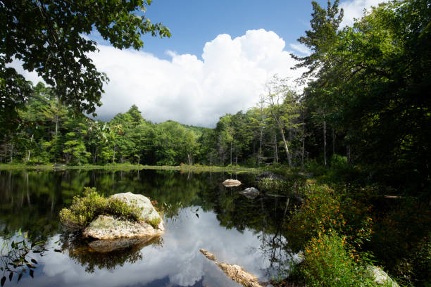 istock Mud Pond on a summer day in Sunapee, New Hampshire. 1819280648
