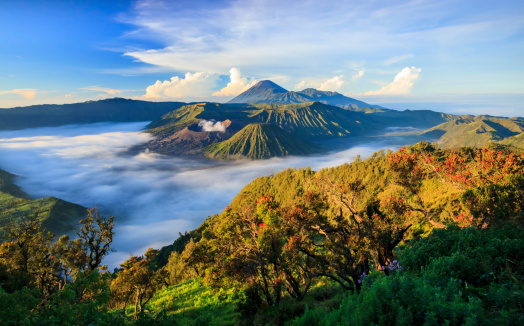 Volcán monte Bromo, Java Oriental, Indonesia, Surabuya photo