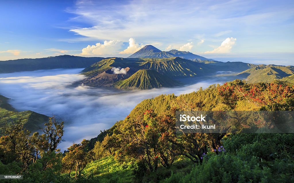 Mont Bromo Volcan de Java Oriental, en Indonésie, Surabuya - Photo de Indonésie libre de droits