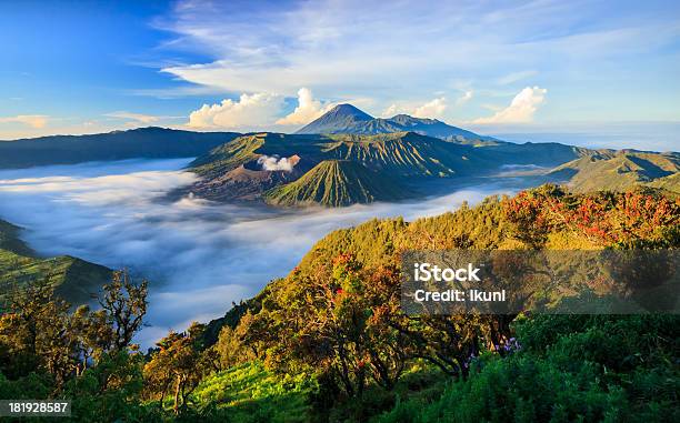 Photo libre de droit de Mont Bromo Volcan De Java Oriental En Indonésie Surabuya banque d'images et plus d'images libres de droit de Indonésie