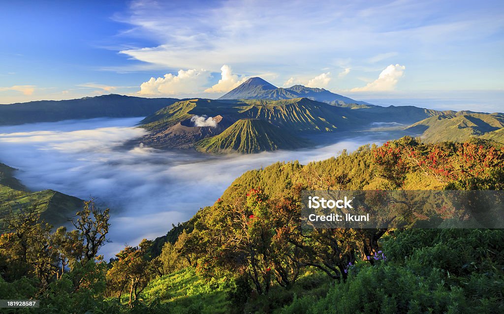 An aerial view of mountain tops in the fog Mount Bromo volcano, East Java, Surabuya, Indonesia Indonesia Stock Photo