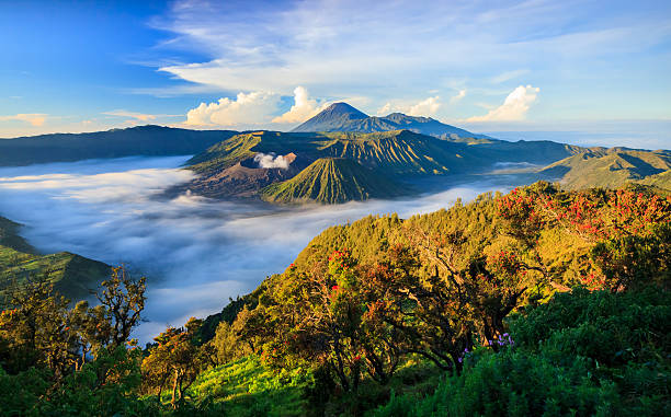 An aerial view of mountain tops in the fog Mount Bromo volcano, East Java, Surabuya, Indonesia volcanic landscape stock pictures, royalty-free photos & images