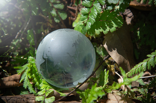 Glass globe encircled by verdant forest flora, symbolizing nature, Environmental protection, sustainability, ESG green energy sustainable. World environment day concept, climate change awareness goals