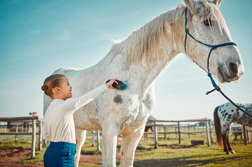 Smile, brush and horse with girl on countryside for riding, equestrian and affectionate. Pet, pasture and champion stallion with child jockey and animal on nature ranch for relax, travel or weekend