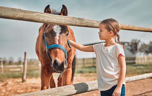 little girl kissing and her purebred shetland pony